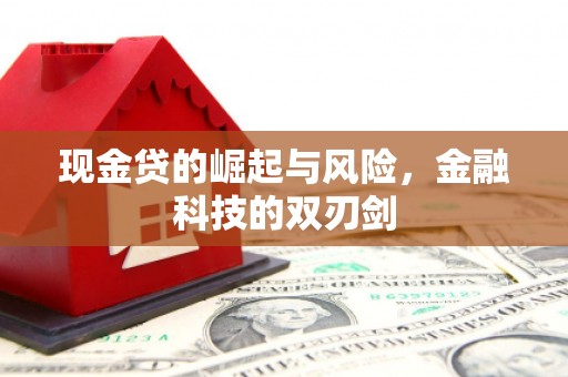 阆中现金贷的崛起与风险，金融科技的双刃剑