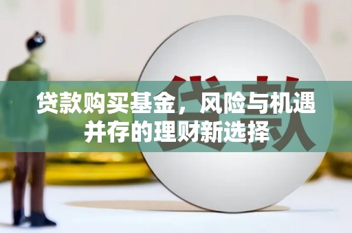 尼勒克贷款购买基金，风险与机遇并存的理财新选择