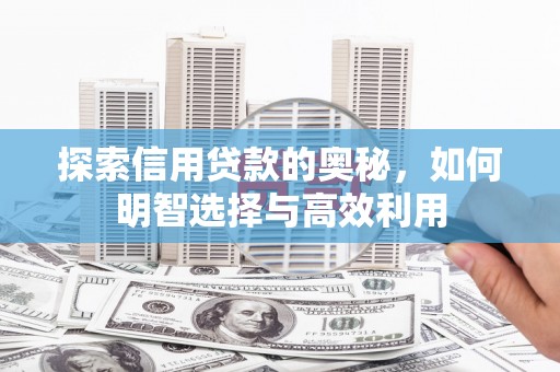 于洪探索信用贷款的奥秘，如何明智选择与高效利用