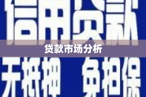 沈丘贷款市场分析