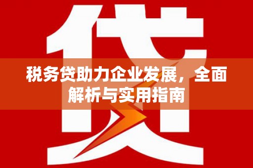 正蓝旗税务贷助力企业发展，全面解析与实用指南