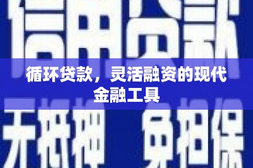 南陵循环贷款，灵活融资的现代金融工具