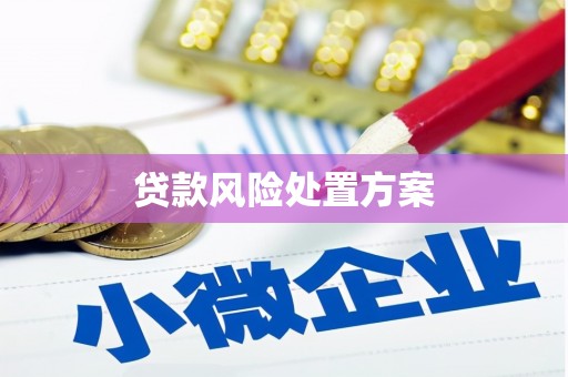 宣州贷款风险处置方案