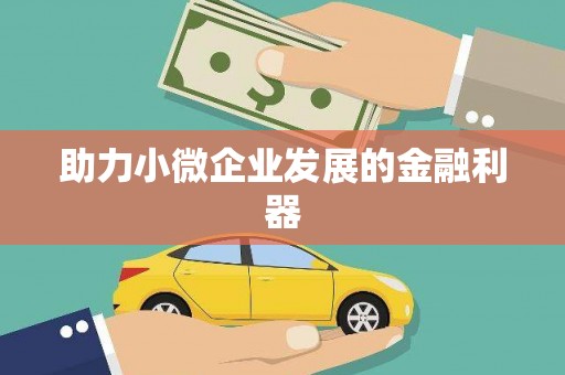 宜宾助力小微企业发展的金融利器