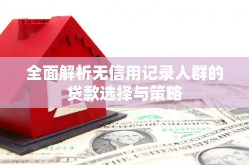 双溪全面解析无信用记录人群的贷款选择与策略