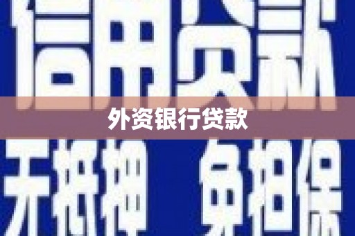 黔东南外资银行贷款