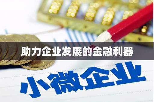 洛扎助力企业发展的金融利器