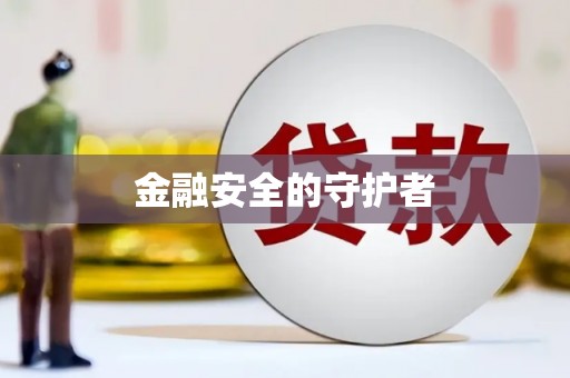 武川金融安全的守护者