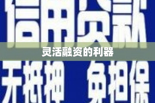 龙山灵活融资的利器