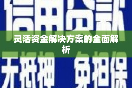 固阳灵活资金解决方案的全面解析