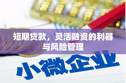 汉源短期贷款，灵活融资的利器与风险管理